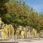 mfr rhone allee d arbres devant batiments jaunes parc et jar