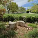 mfr rhone visite parcs et jardins a lyon pelouse verte ruine