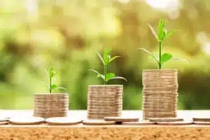 pousses vertes sur piles de pieces symbolisant la croissance