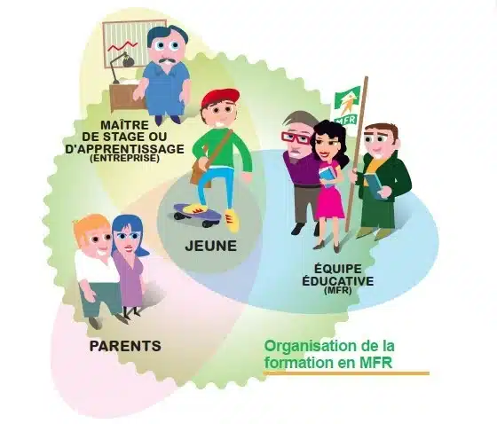schema de l organisation de la formation en mfr jeune parent