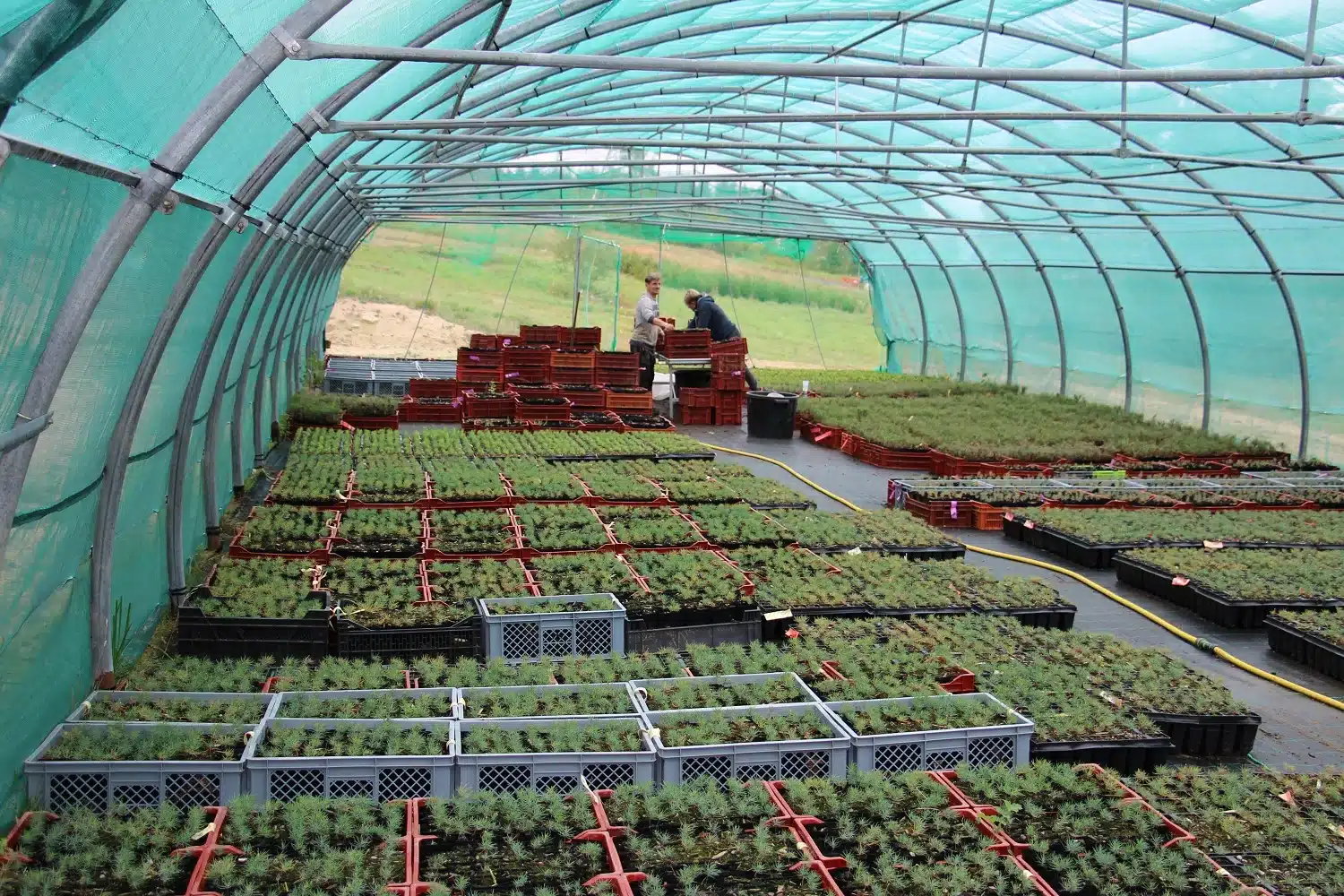 serre mfr rhone jeunes plants en caisses deux personnes trav