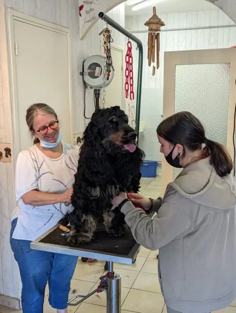 visite de stage mfr rhone toilettage d un chien cocker par d